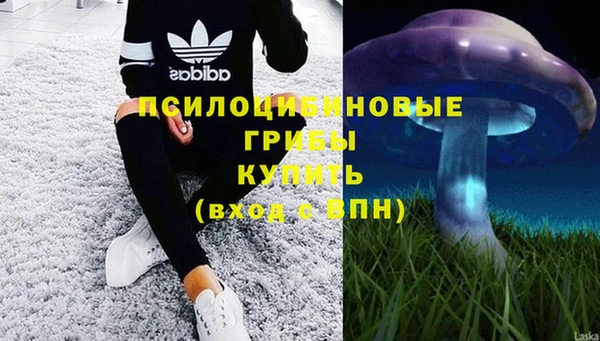 мдма Михайлов
