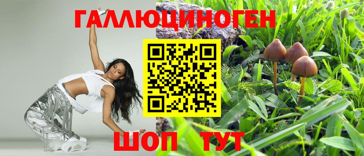 Белая Калитва  Галлюциногенные грибы MAGIC MUSHROOMS  Вход с VPN 